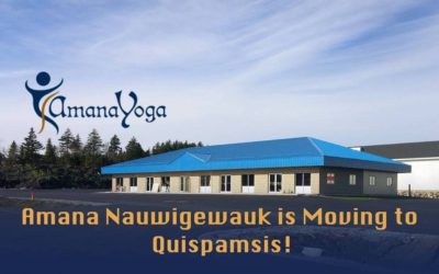 Amana Institute Inc.